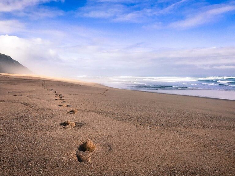 Drop-In-Surfcamp-Portugal-Beach-9